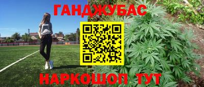 крисы Тулун