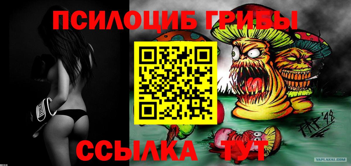 Кировск  Галлюциногенные грибы Psilocybine cubensis  Псилоцибиновые грибы Magic Shrooms  Вход с VPN 