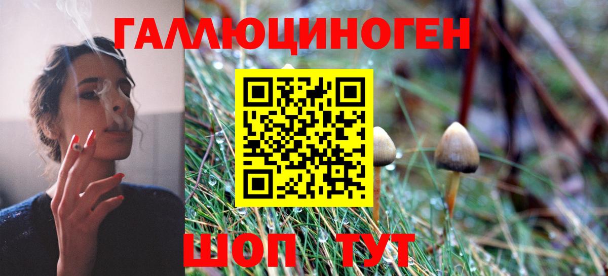 Галлюциногенные грибы мицелий Кировск